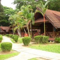Taman Negara - Mutiara Resort (superior categorie)